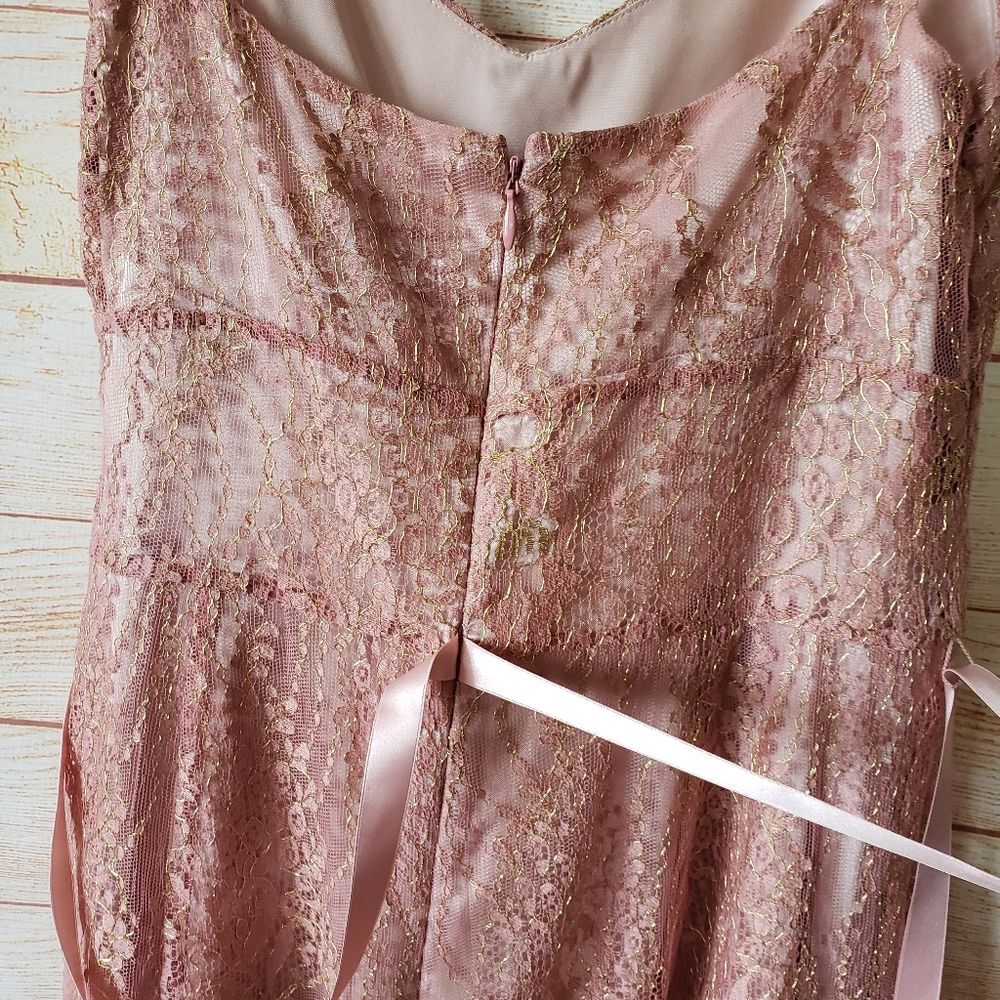 Ann Taylor Lace Metallic Ribbon Strap Dress Eyelash Lace Hem Size 6 Blush Pink - Picture 8 of 13